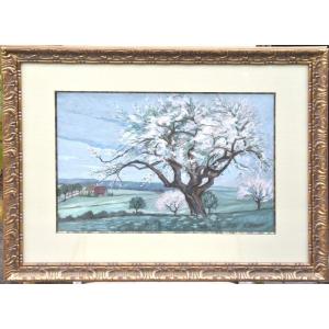 Théodore BUCHHOLD "Les arbres en fleurs" gouache 33x45